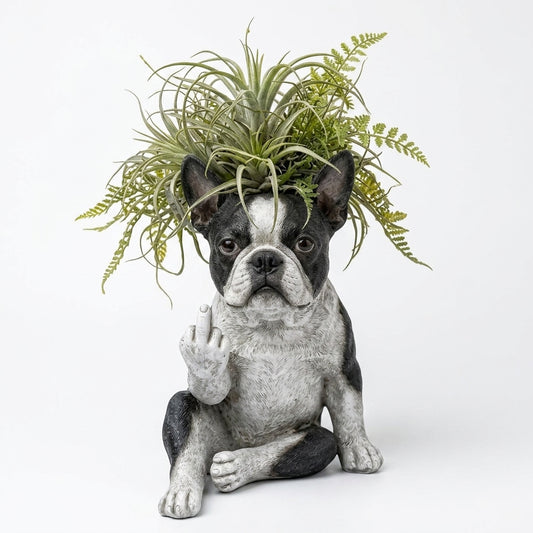 Bad Boy Bulldog Planter - Front View